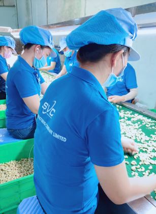  - Hạt Điều SVC - Công Ty Cổ Phần Quốc Tế SVC